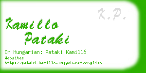 kamillo pataki business card
