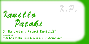 kamillo pataki business card